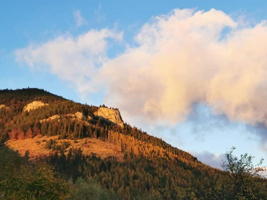 Apartmanovy Dom Adas Prosiek Exteriér fotografie